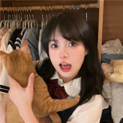 梅花档案