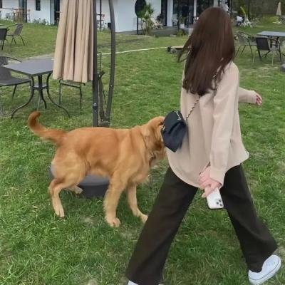 狱爱