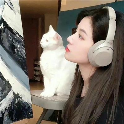 仙女特攻队